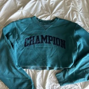Champion cropped hoodie